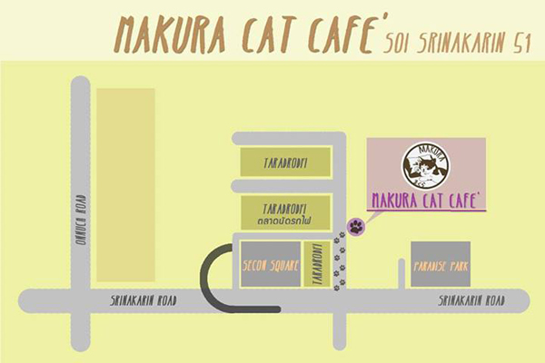 3.Makura Cat Cafe